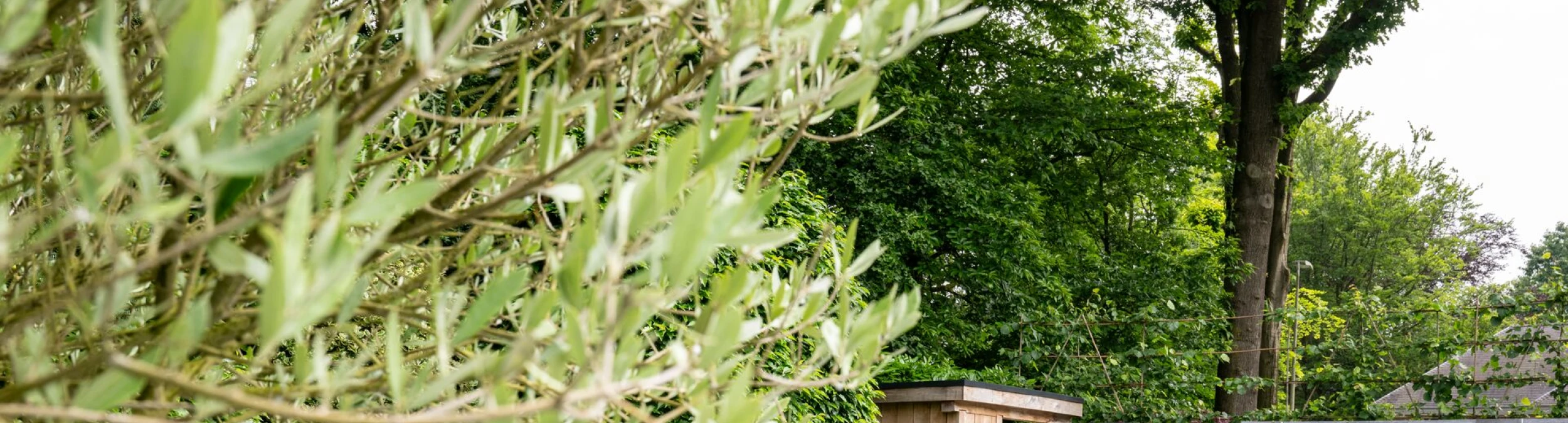 Header image alt