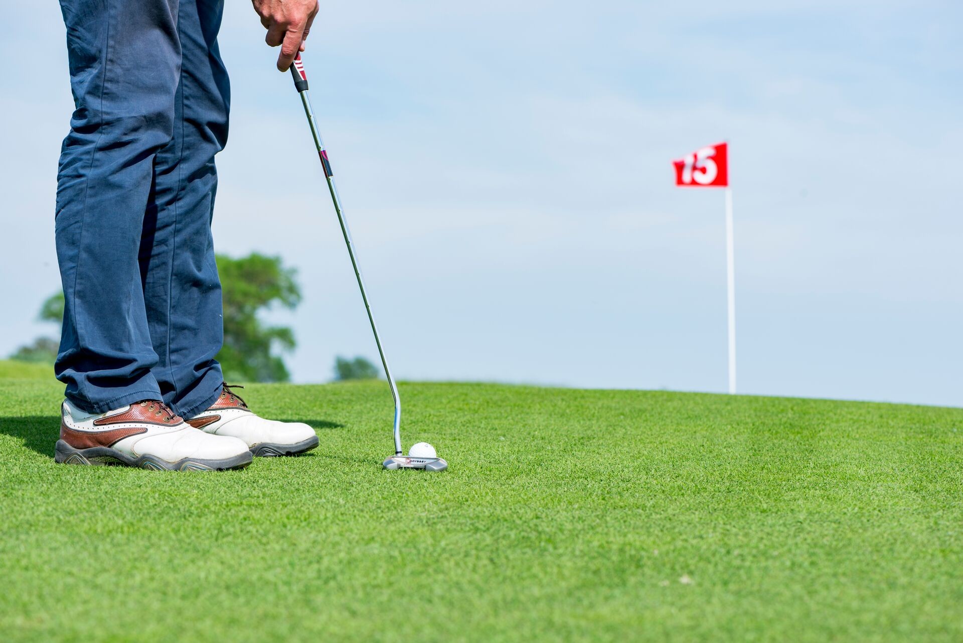 DCM VIVIFOS® voor diepere en sterkere wortels op golfterreinen en sportvelden Thumb