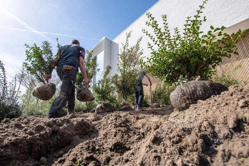 SOIL-ACTIV, bodemverbeteraar voor geslaagde projecten en minder arbeid Thumb