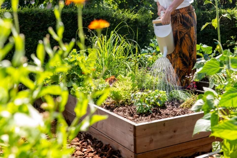 7 tips om slim en zuinig water te geven in de tuin Thumb