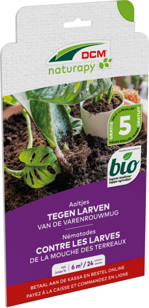 Aaltjes tegen larven van de varenrouwmug thumbnail