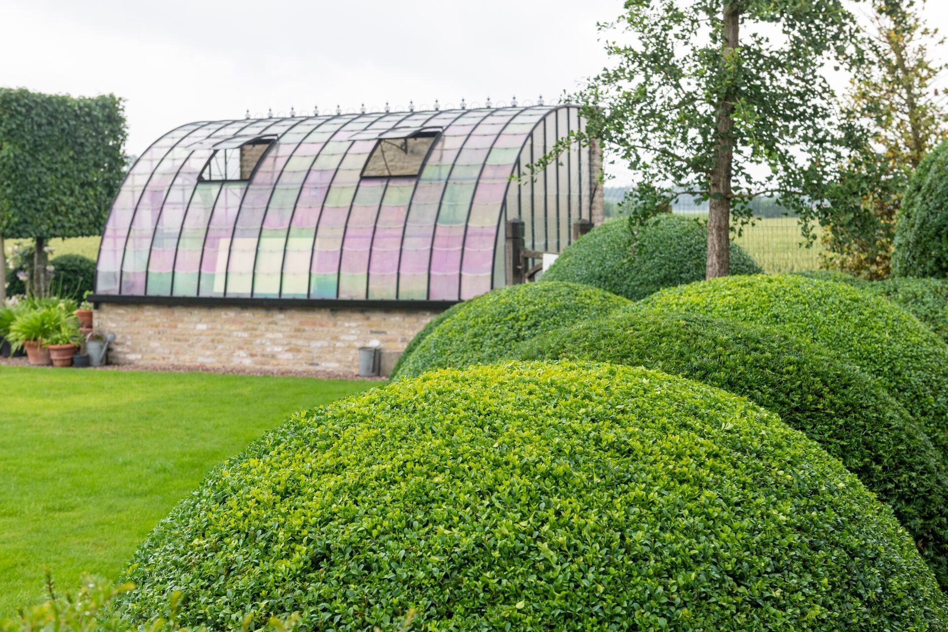Buxus snoeien voor een compacte groei Thumb