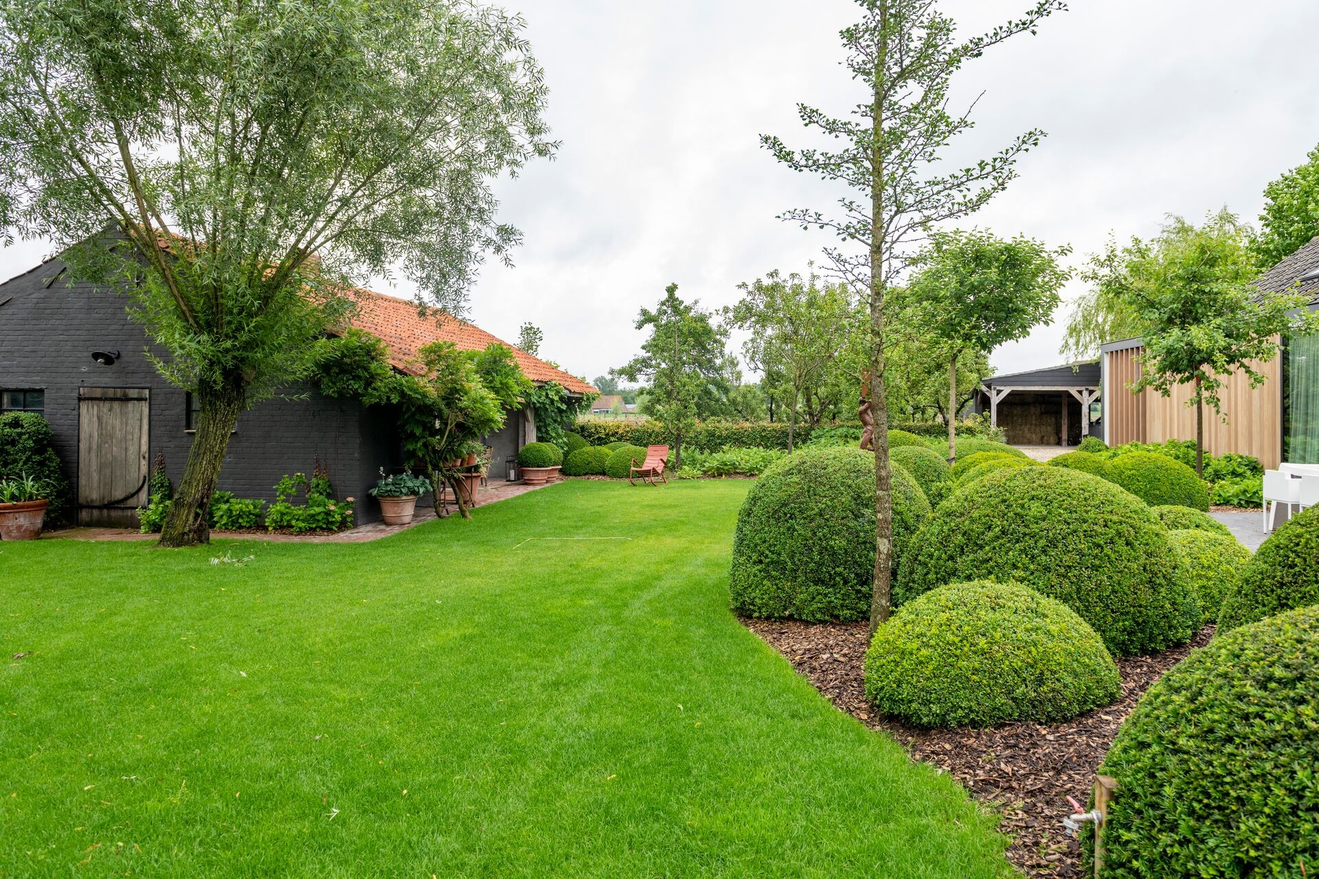 Buxus planten in volle grond - 5 stappen Thumb