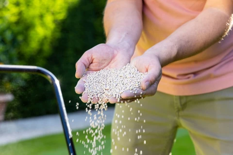 Waarom kalk strooien in de tuin en in welke periode Thumb