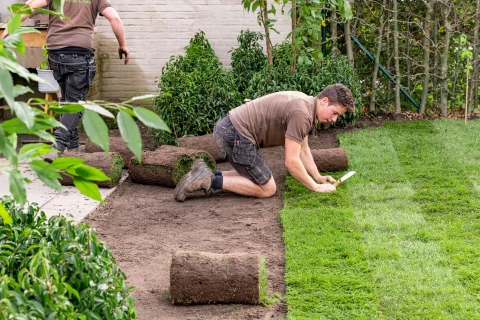 DCM VIVIFOS® ideaal bij het plaatsen van graszoden Thumb