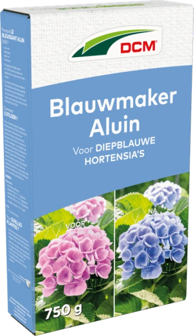 DCM Blauwmaker Hortensia's - Aluin thumbnail