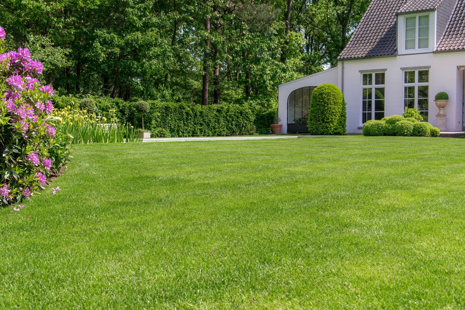 Een prachtig Engels siergazon in jouw tuin is gemakkelijk mogelijk Thumb