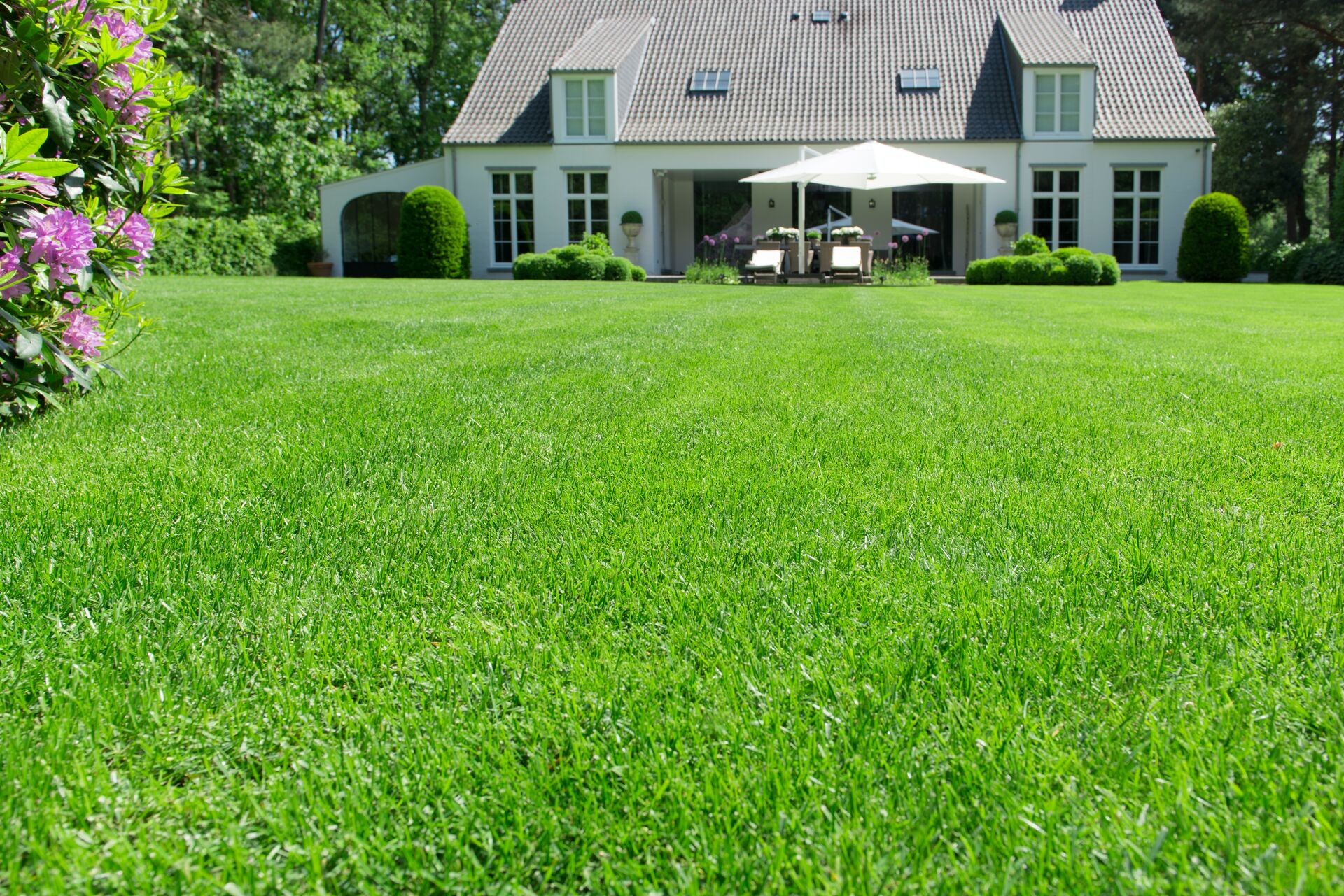 Zomers genieten van een groen gazon! Thumb