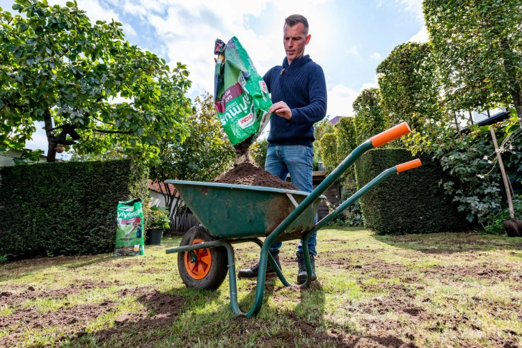 Stappenplan om het gazon te herstellen Thumb