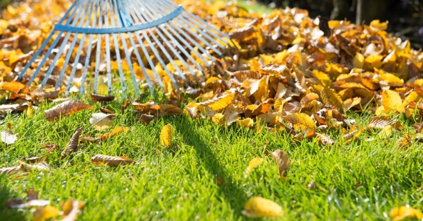 7 tips om tuinresten nuttig te verwerken Thumb