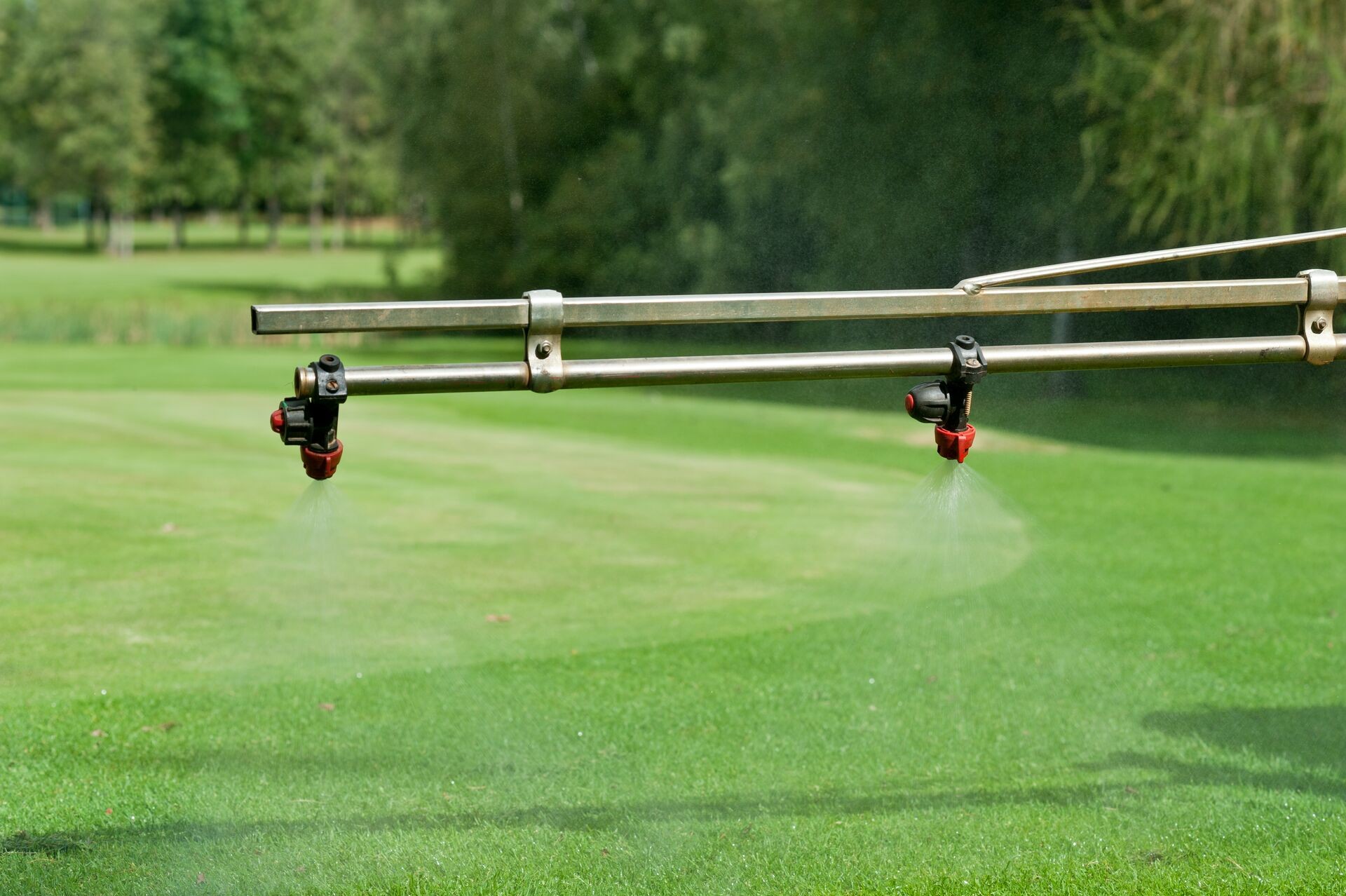 DCM LIQUID GREEN: Vloeibare, snelwerkende gazonmeststof voor een diepgroen gazon Thumb