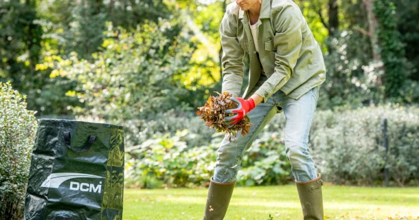 7 tips om herfstbladeren slim te recyclen Thumb