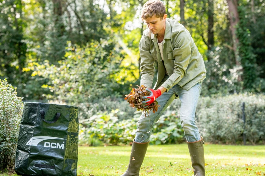 7 tips om herfstbladeren slim te recyclen Thumb