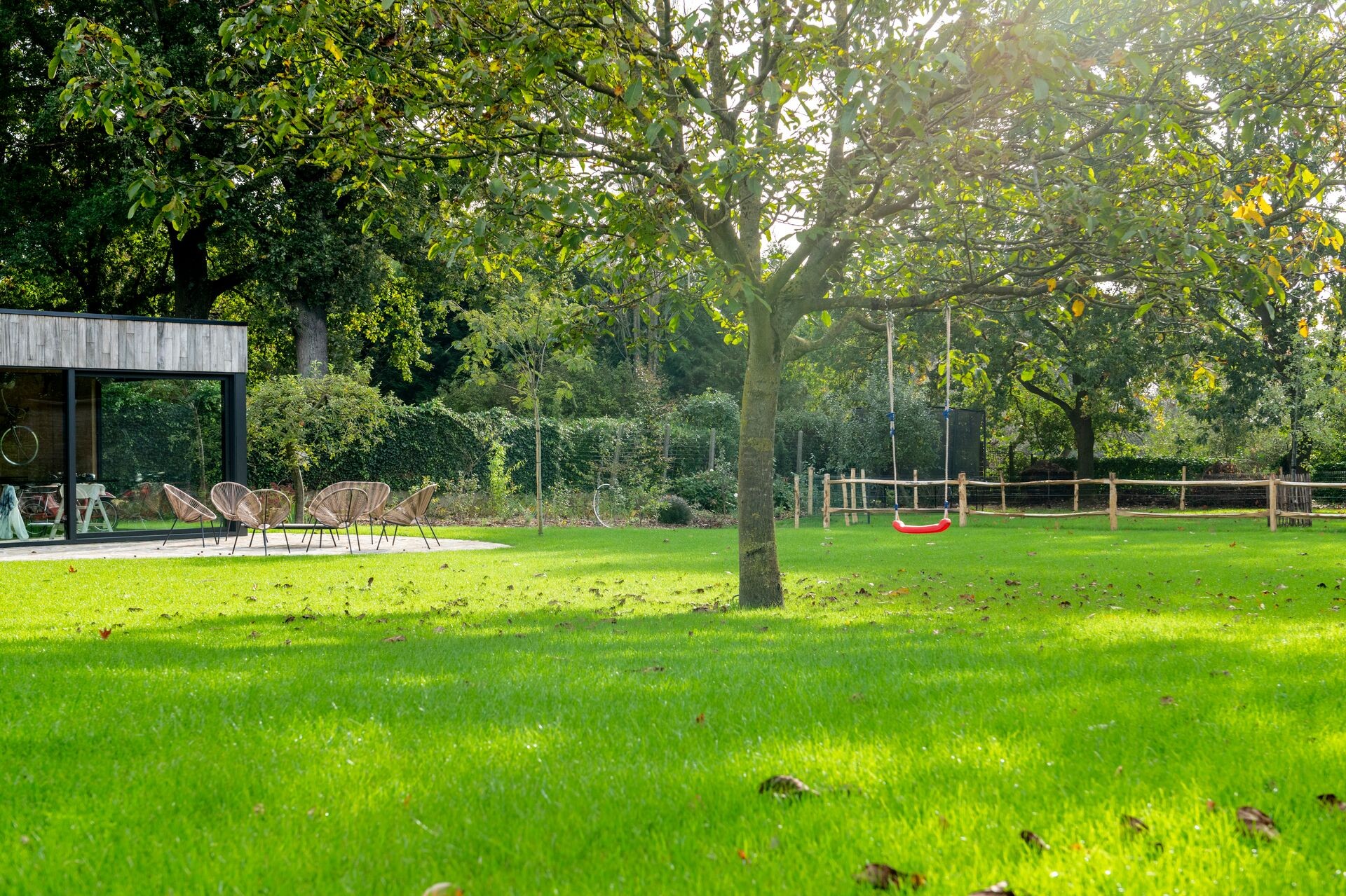 Header image alt