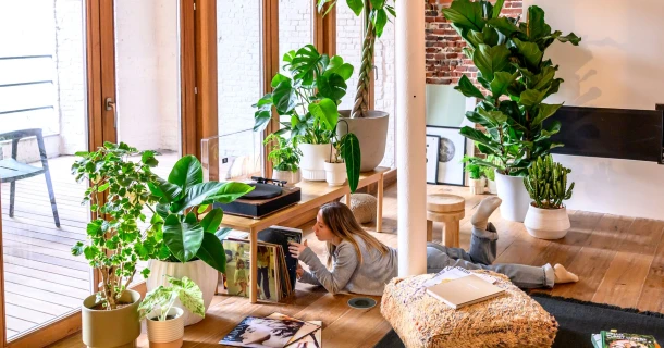 Kamerplanten stylen: inspiratie en tips voor een groen interieur Thumb
