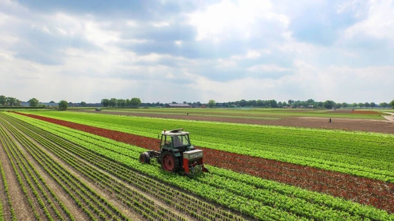 Slim bemesten in vollegrond: 5 manieren om meststoffen efficiënter te benutten Thumb