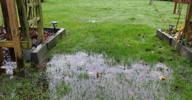 Wat elke hovenier over waterbeheer moet weten Thumb