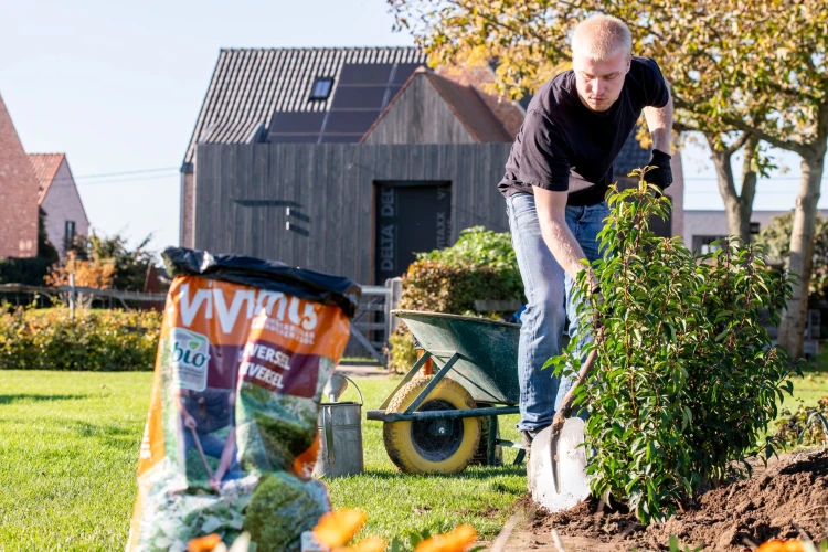 Aanplanten hagen en struiken Thumb