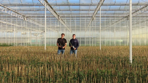 Streng Growers overtuigd van hybride bemesting in containerteelt Thumb