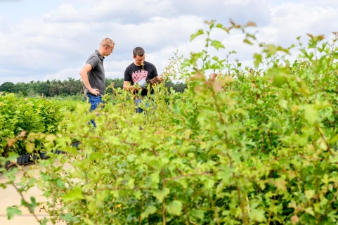 Waarom EC plotseling kan ontsporen en hoe je dat voorkomt Thumb