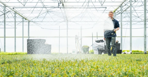 Bladvoeding in de boomkwekerij: 7 succesfactoren voor maximaal rendement en plantkwaliteit Thumb
