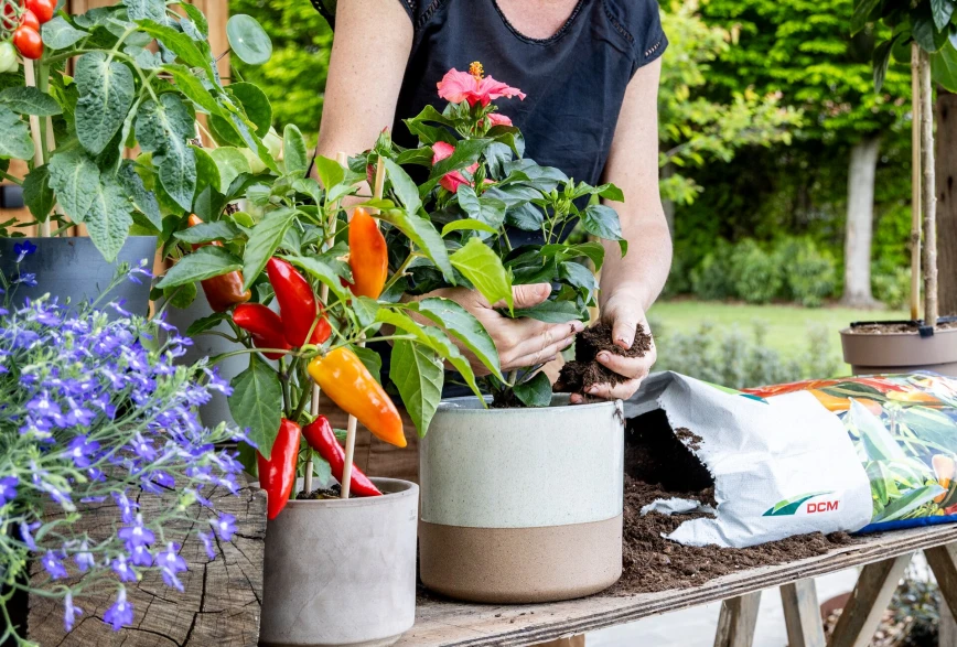 Tuinieren zonder tuin: zo maak je van je balkon of terras een groene oase Thumb