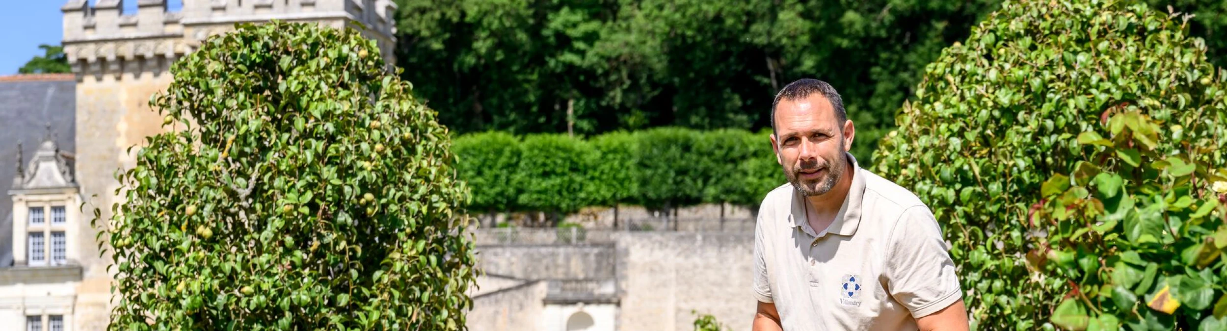 Header image alt
